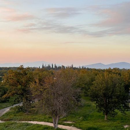 Hotel Nuvo Saltillo Dış mekan fotoğraf